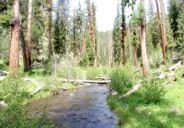 View of the lower stream canyon, Crane Creek Trail
