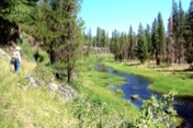 Lower Sycan River Hike, Fremont National Forest