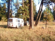 Dispersed campsite near Gray Prairie, Ochoco National Forest