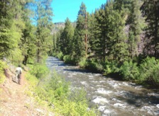 View upstream, Malheur River Trail - South End