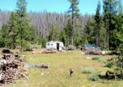 Beetle-killed pines being cleared from Sandhill Crossing Campground