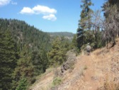 View down canyon from Waterman Ditch section, Rock Creek Trail