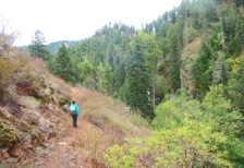 The Buck Creek Trail crossing a dry hillside above a lush, pristine riparian corridor.