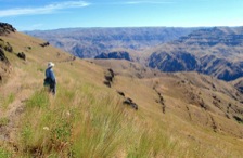 The Eureka Wagon Trail offers panoramic vistas of the Imnaha and Snake River canyons.