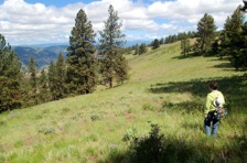 The scenic High Ridge Trail traverses both open 