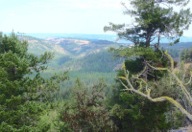 A view north from the rim, down Beaver Creek and the La Grande Watershed.