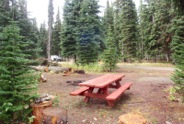 The Misery Spring Campground is set within a thick forest of subalpine fir.