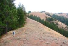 Ninemile Ridge has successively higher viewpoints, giving a choice of hike destinations.