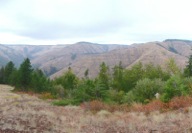 Once on top of the ridge, panoramic vistas open up over the North Fork Umatilla Wilderness.