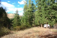 The Umatilla Fork Campground is on a shady bench above the South Fork Umatilla River.