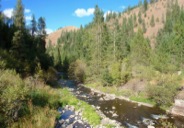 The various forks of the Umatilla River flow below both forested and treeless slopes.