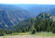 From the top of Round Butte, the most dramatic views are east down the North Fork Wenaha canyon.