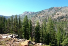 In the upper basin of South Fork Desolation Creek, one has views south of the Greenhorn Ridge.