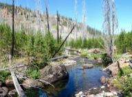 A massive wildfire burned the upper basin in 1996, but it is already on the path to recovery.