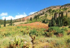 The Squaw Creek Trail provides easy access to alpine meadows and ridges above timberline.