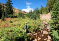 The trail makes one ford of Squaw Creek, which can be tricky during high Spring runoff.