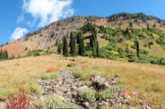 Hiking is easy across open alpine slopes at the head of the Squaw Creek watershed.