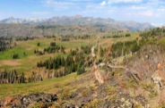 From the summit, one has panoramic vistas of the High Wallowa peaks on the skyline.