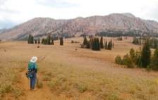 The Summit Point Trail features panoramic vistas of the white granite Cornucopia Ridge.