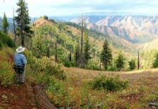 The Summit Ridge Trail has views into both the Imnaha and Snake River canyons.