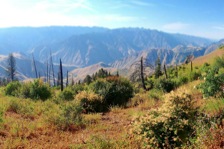 The Temperance Creek Trail has views deep into the interior of Hells Canyon.