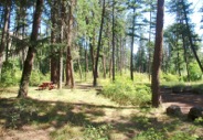 The USFS Tucannon Campground is on a terrace next to the river, under big ponderosas.