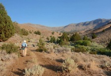Carlson Creek is a low-elevation desert stream canyon draining east from Andrews Rim.