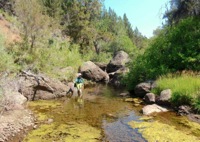 In most years, Fish Creek still has some flowing water and pools into late summer.