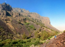 Home Creek is a small, intimate canyon with dramatic, 1,000'-high basalt cliffs rising overhead.