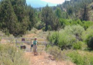 The hike begins at a locked steel gate on the old jeep road along Indian Creek.