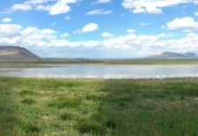 Shirk Lake is a desert wetland complex of grasslands, mud flats and open water.