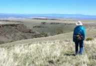 From the high plateau above Willow Creek, one has long views east to the snow-capped Steens Range.