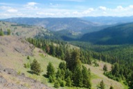 View east from the ridge crest, down the Bamber Creek watershed, to the Kettle River Range beyond.