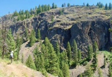 The middle section of the Thirteenmile Canyon Trail passes dramatic, glaciated granite cliffs. 