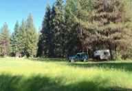 The O'Brien Creek Forest Camp is an open grassy, 1-acre flat with a vault toilet.