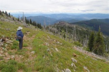 Once above 6,000', the White Mountain Trail offers superb, panoramic vistas over NE Washington.