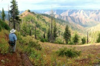 View from Summit Ridge Trail at Hells Canyon.