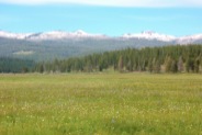 Strawberry Mountains from Logan Valley, Malheur National Forest.