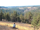 View of eastern landscape, Ochoco National Forest