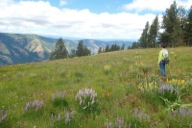 The High Ridge Trail features great views and wildflowers in Spring.