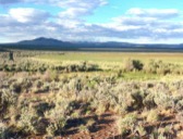 Extensive grasslands and wetlands have formed where Guano Creek meets the Guano Valley floor.