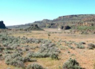 The walking is easy along the old lake beds, now turned to grasslands.