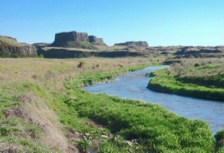 Rock Creek coulee features dramatic basalt bluffs and palisades flanking a perennial stream.