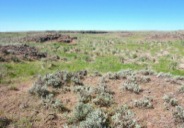 The upland hike is through channeled scablands, with mima mound topography.